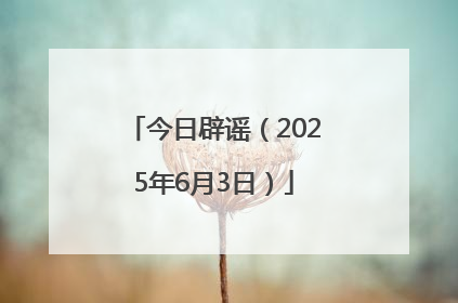 今日辟谣（2025年6月3日）