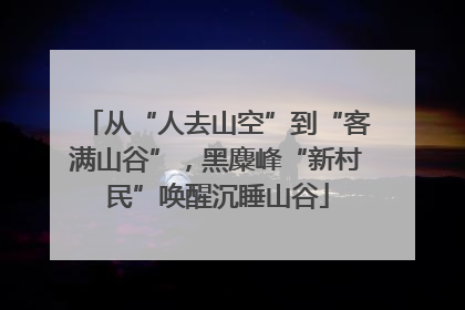 从“人去山空”到“客满山谷”，黑麋峰“新村民”唤醒沉睡山谷