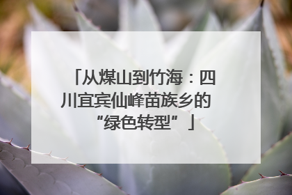 从煤山到竹海：四川宜宾仙峰苗族乡的“绿色转型”