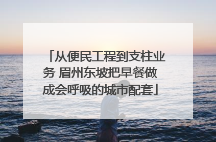从便民工程到支柱业务 眉州东坡把早餐做成会呼吸的城市配套