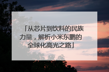从芯片到饮料的民族力量，解析小米东鹏的全球化高光之路