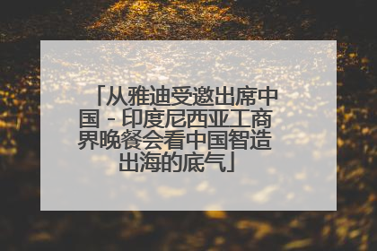 从雅迪受邀出席中国－印度尼西亚工商界晚餐会看中国智造出海的底气