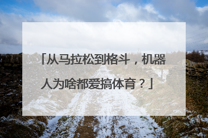 从马拉松到格斗，机器人为啥都爱搞体育？