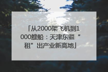从2000架飞机到1000艘船：天津东疆“租”出产业新高地