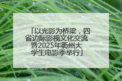 以光影为桥梁，四省边际影视文化交流暨2025年衢州大学生电影季举行