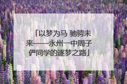 以梦为马 驰骋未来——永州一中周子俨同学的逐梦之路