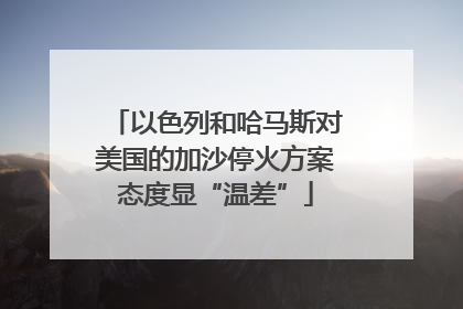 以色列和哈马斯对美国的加沙停火方案态度显“温差”