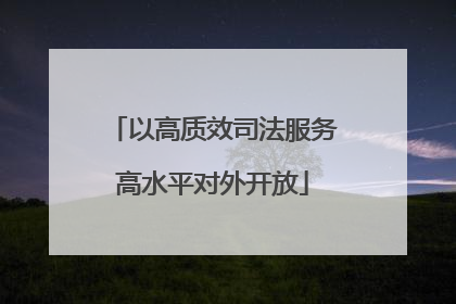 以高质效司法服务高水平对外开放