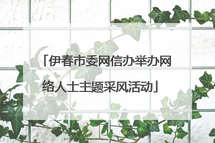 伊春市委网信办举办网络人士主题采风活动