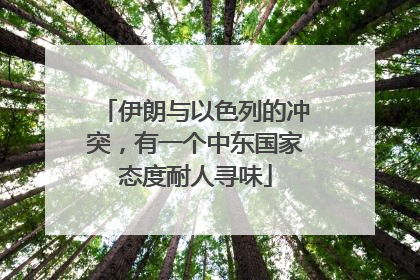 伊朗与以色列的冲突，有一个中东国家态度耐人寻味