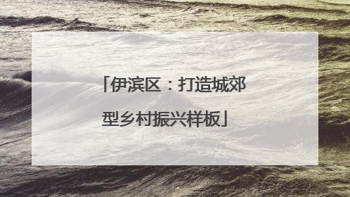 伊滨区：打造城郊型乡村振兴样板