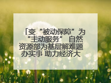 变“被动保障”为“主动服务” 自然资源部为基层解难题办实事 助力经济大省挑大梁