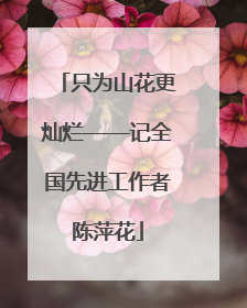 只为山花更灿烂——记全国先进工作者陈萍花
