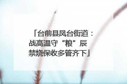 台前县凤台街道：战高温守“粮”辰 禁烧保收多管齐下