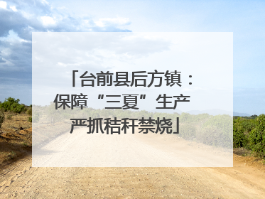 台前县后方镇：保障“三夏”生产 严抓秸秆禁烧