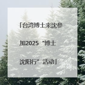 台湾博士来沈参加2025“博士沈阳行”活动