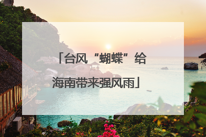 台风“蝴蝶”给海南带来强风雨