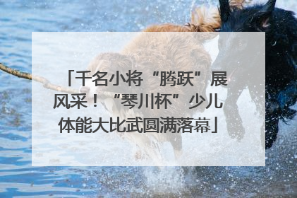 千名小将“腾跃”展风采！“琴川杯”少儿体能大比武圆满落幕