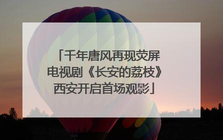 千年唐风再现荧屏 电视剧《长安的荔枝》西安开启首场观影