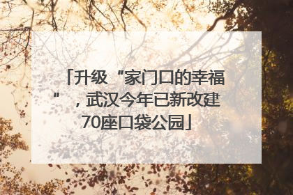 升级“家门口的幸福”，武汉今年已新改建70座口袋公园