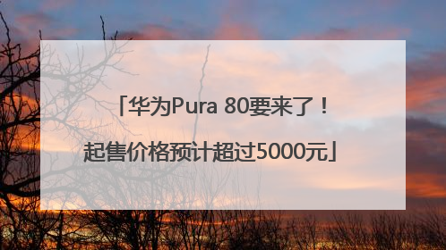 华为Pura 80要来了！起售价格预计超过5000元