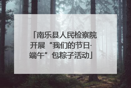 南乐县人民检察院开展“我们的节日·端午”包粽子活动