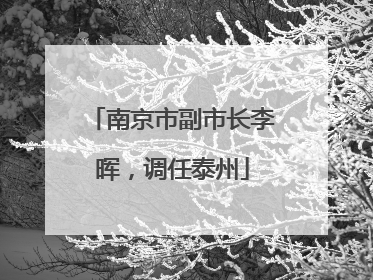 南京市副市长李晖，调任泰州