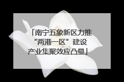 南宁五象新区力推“两港一区”建设 产业集聚效应凸显