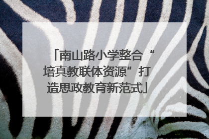 南山路小学整合“培真教联体资源”打造思政教育新范式