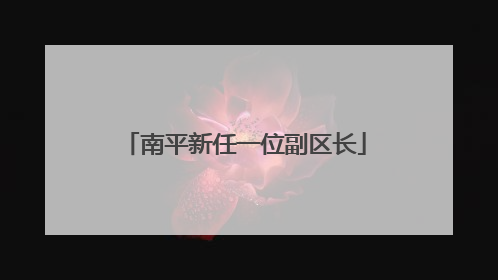 南平新任一位副区长