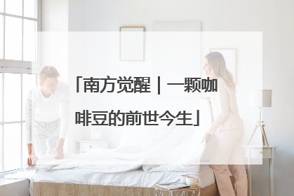 南方觉醒｜一颗咖啡豆的前世今生