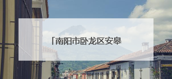 南阳市卧龙区安皋镇：以行动排查水域 用责任守护安全