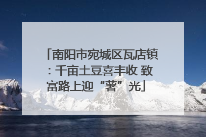 南阳市宛城区瓦店镇：千亩土豆喜丰收 致富路上迎“薯”光