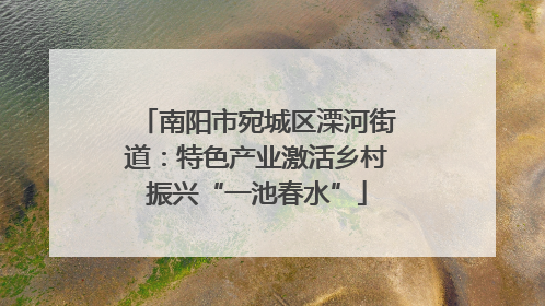 南阳市宛城区溧河街道：特色产业激活乡村振兴“一池春水”