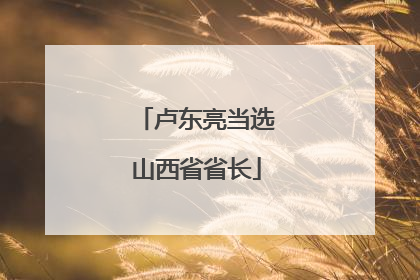 卢东亮当选山西省省长