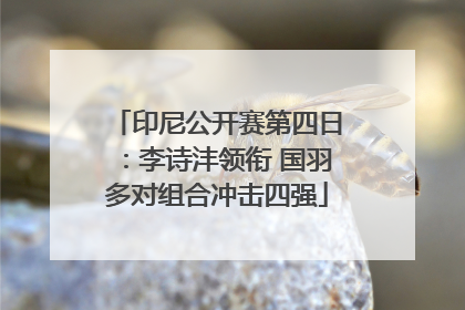 印尼公开赛第四日：李诗沣领衔 国羽多对组合冲击四强