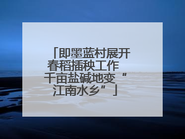 即墨蓝村展开春稻插秧工作 千亩盐碱地变“江南水乡”