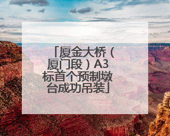 厦金大桥（厦门段）A3标首个预制墩台成功吊装