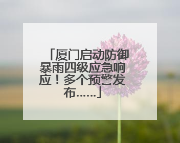 厦门启动防御暴雨四级应急响应！多个预警发布……