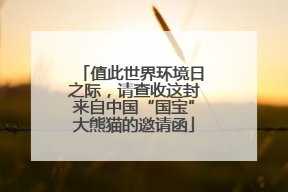 值此世界环境日之际，请查收这封来自中国“国宝”大熊猫的邀请函