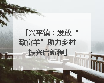 兴平镇：发放“致富羊”助力乡村振兴启新程