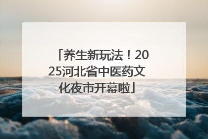 养生新玩法！2025河北省中医药文化夜市开幕啦