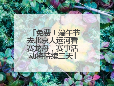 免费！端午节去北京大运河看赛龙舟，赛事活动将持续三天