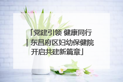 党建引领 健康同行｜东昌府区妇幼保健院开启共建新篇章