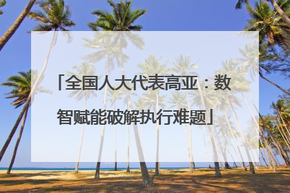 全国人大代表高亚：数智赋能破解执行难题