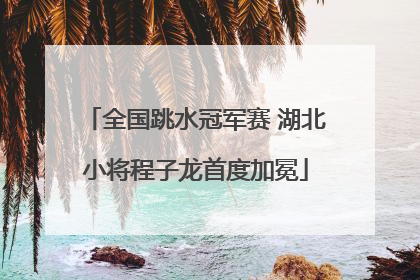 全国跳水冠军赛 湖北小将程子龙首度加冕