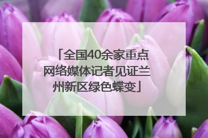 全国40余家重点网络媒体记者见证兰州新区绿色蝶变