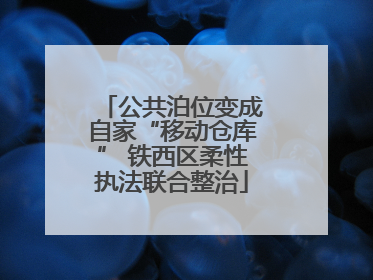 公共泊位变成自家“移动仓库” 铁西区柔性执法联合整治