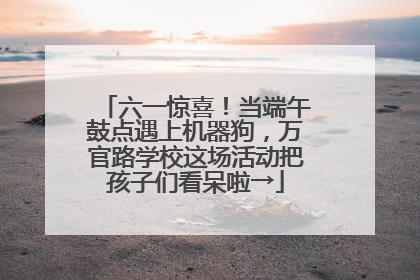 六一惊喜！当端午鼓点遇上机器狗，万官路学校这场活动把孩子们看呆啦→
