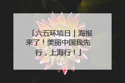 六五环境日｜海报来了！美丽中国我先行，上海行！